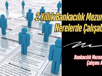 2 Yıllık Bankacılık Mezunları Nerelerde Çalışabilir?